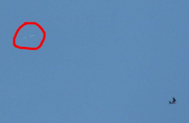 segelflieger