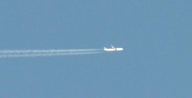 weisser_flieger